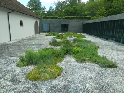Alsace 2024