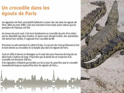 PARIS ANECDOTES