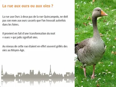 PARIS ANECDOTES